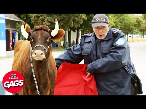 ​The Man Who Has No Fear – Just For Laughs Gags​